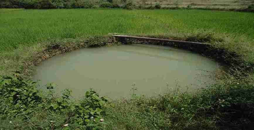 Rain Water Harvesting