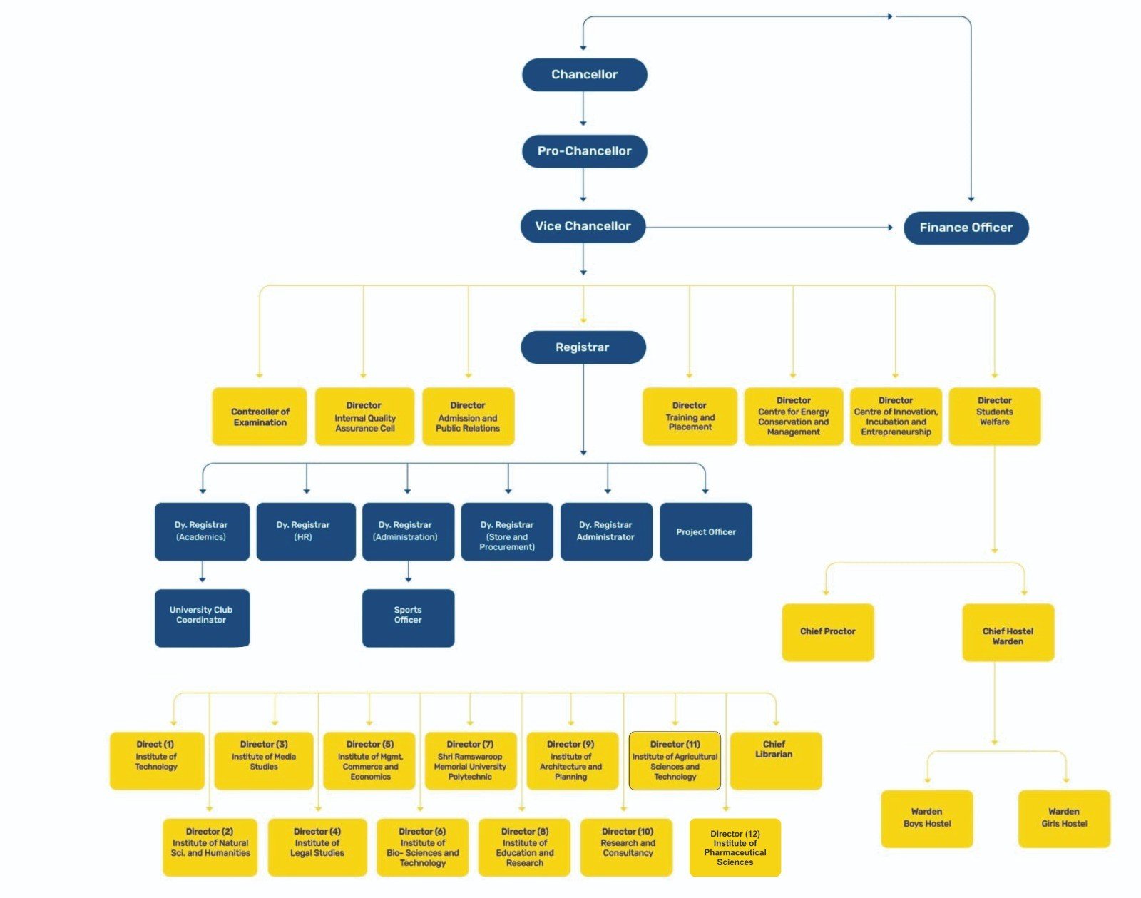 Organizational Structure